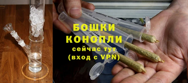 ешки Арсеньев