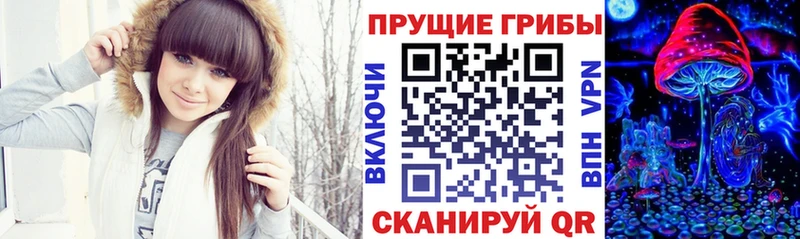 Галлюциногенные грибы Psilocybine cubensis  купить наркотики цена  МЕГА зеркало  Харовск 